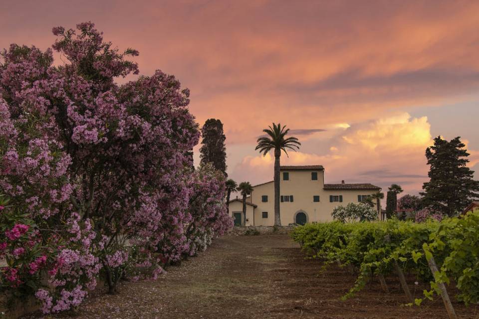 Tenuta la Chiusa
