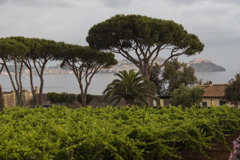 Tenuta la Chiusa