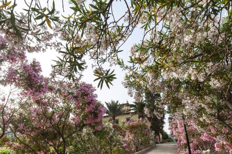 Tenuta la Chiusa