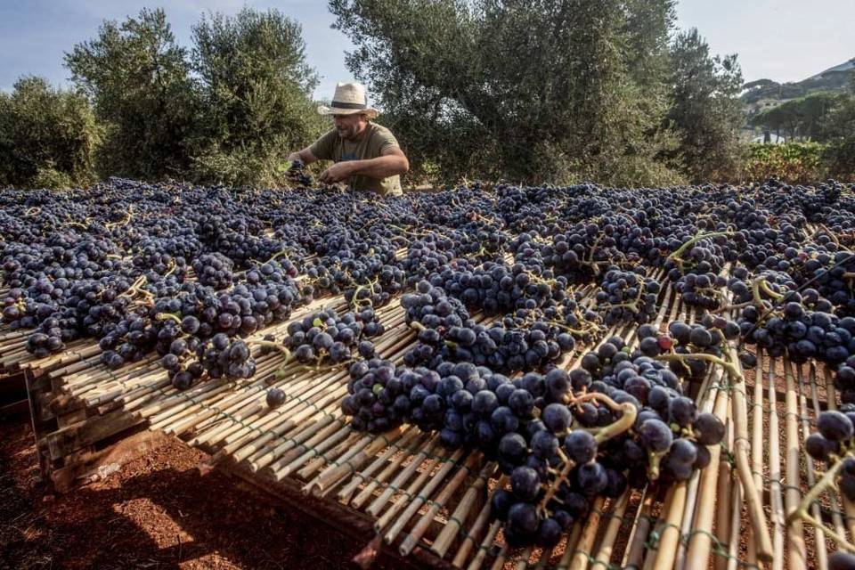 Tenuta la Chiusa