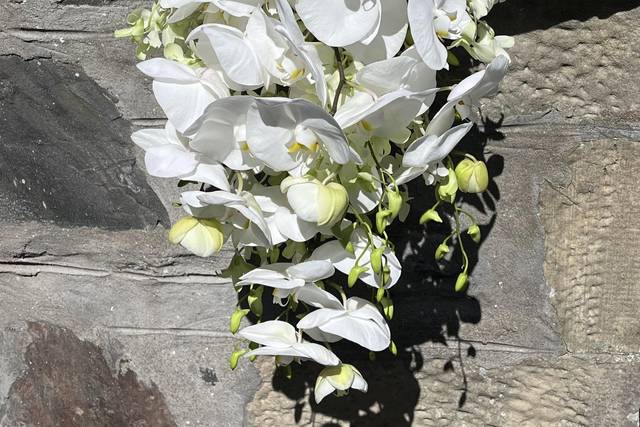 White orchid shower bouquet