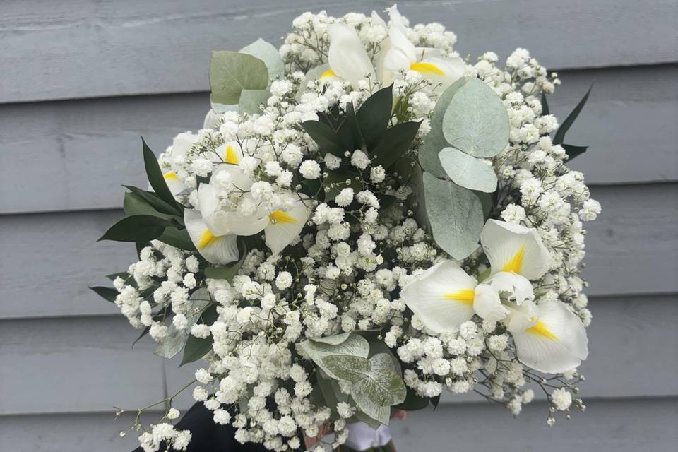 White iris and gypsophila