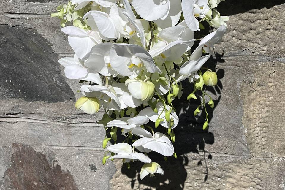 White orchid shower bouquet