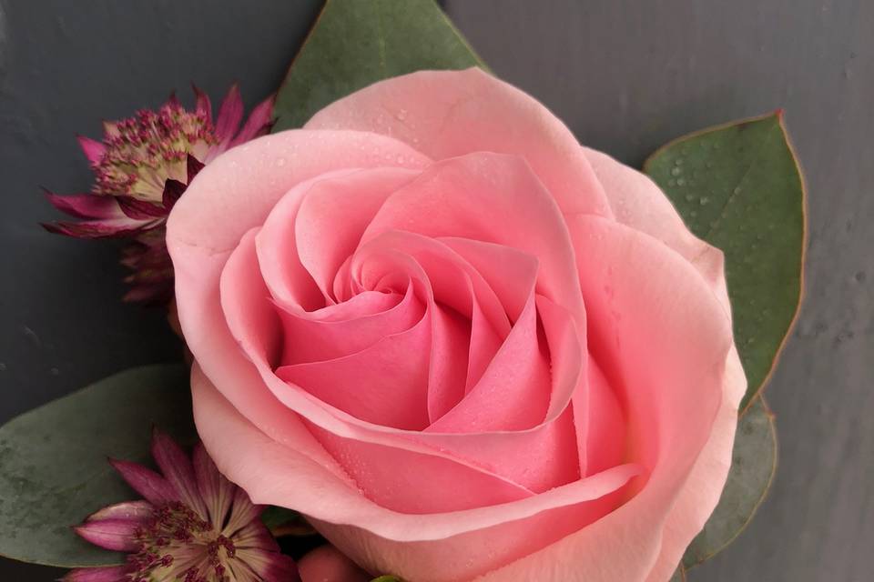 Rose buttonhole