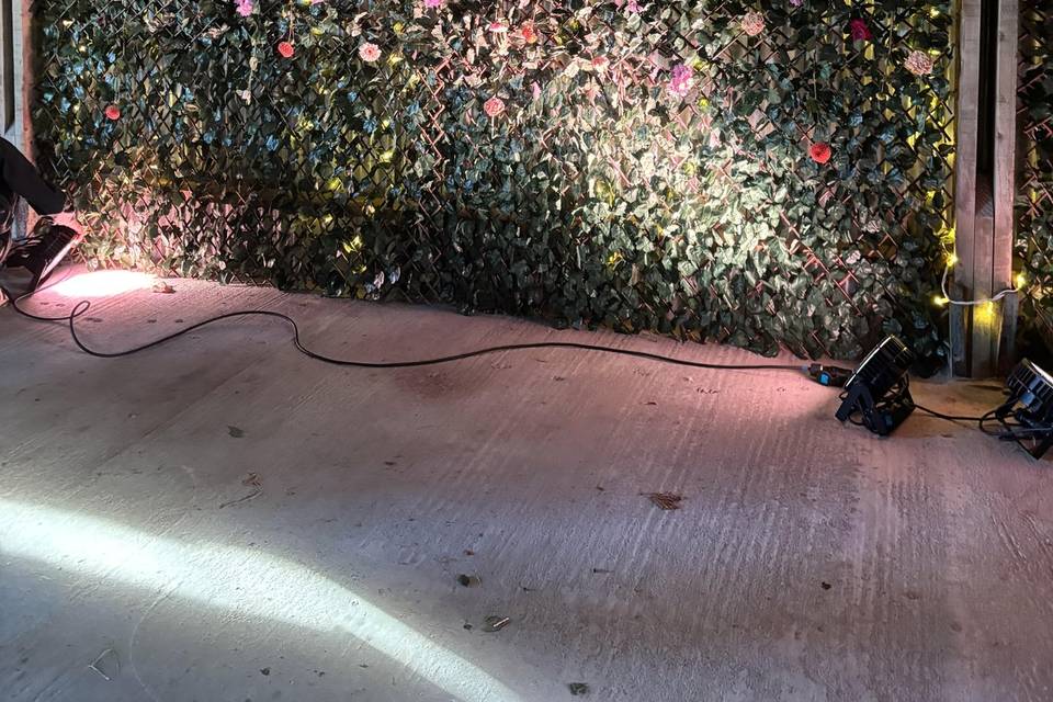 Flower feature wall