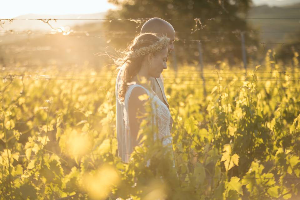 Vineyard