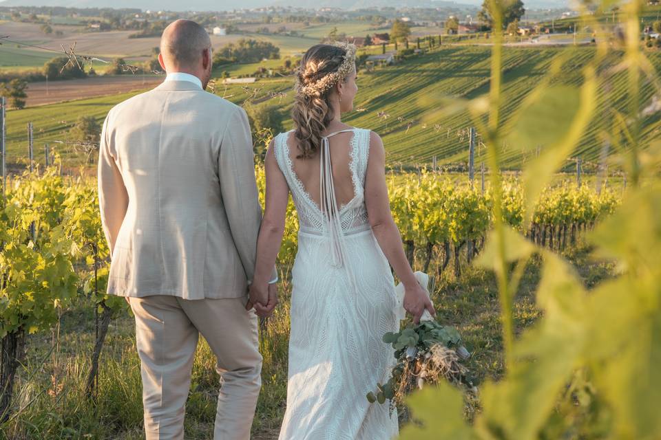 Vineyard