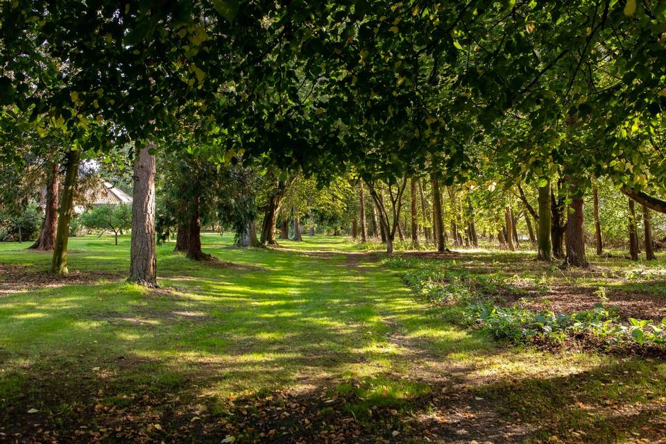 Grounds