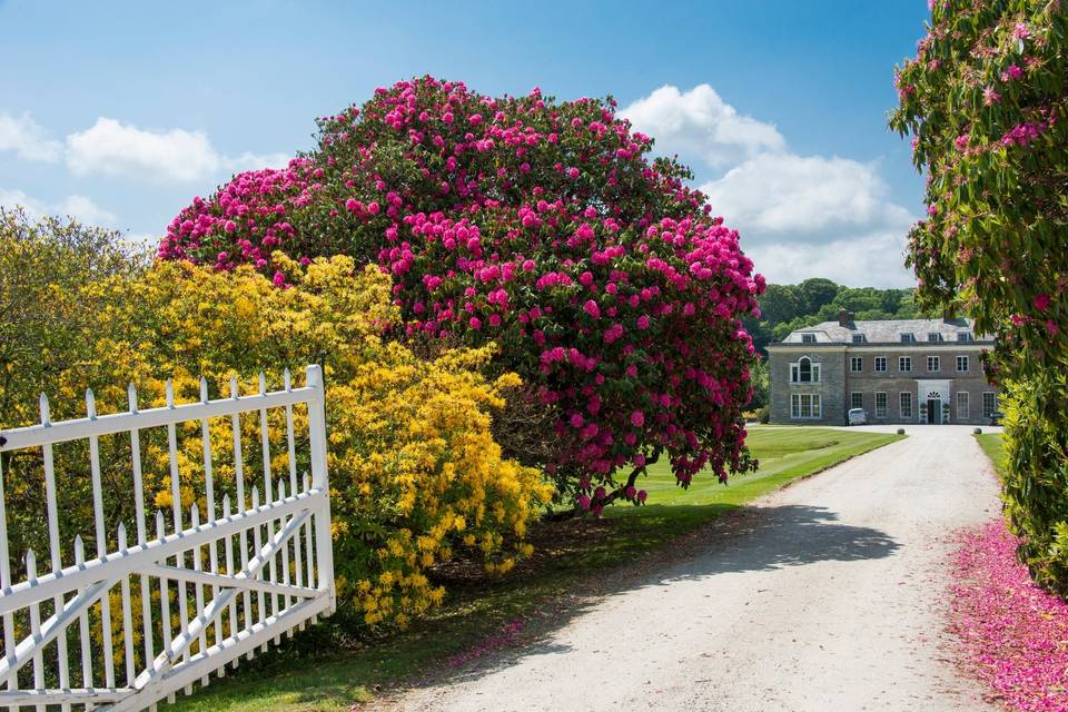 Boconnoc House