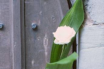 Flower in church door