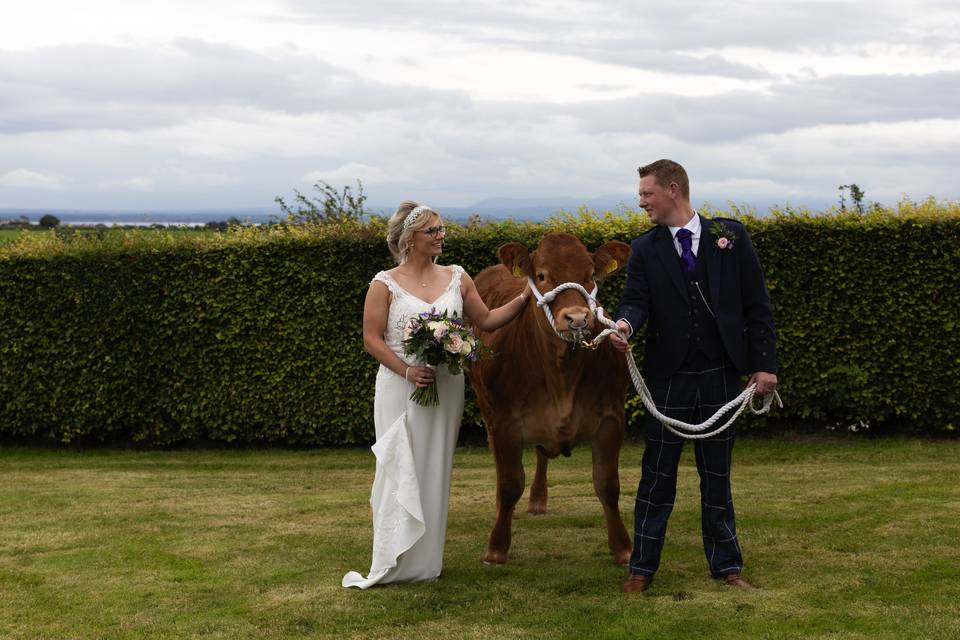 Dumfries farm