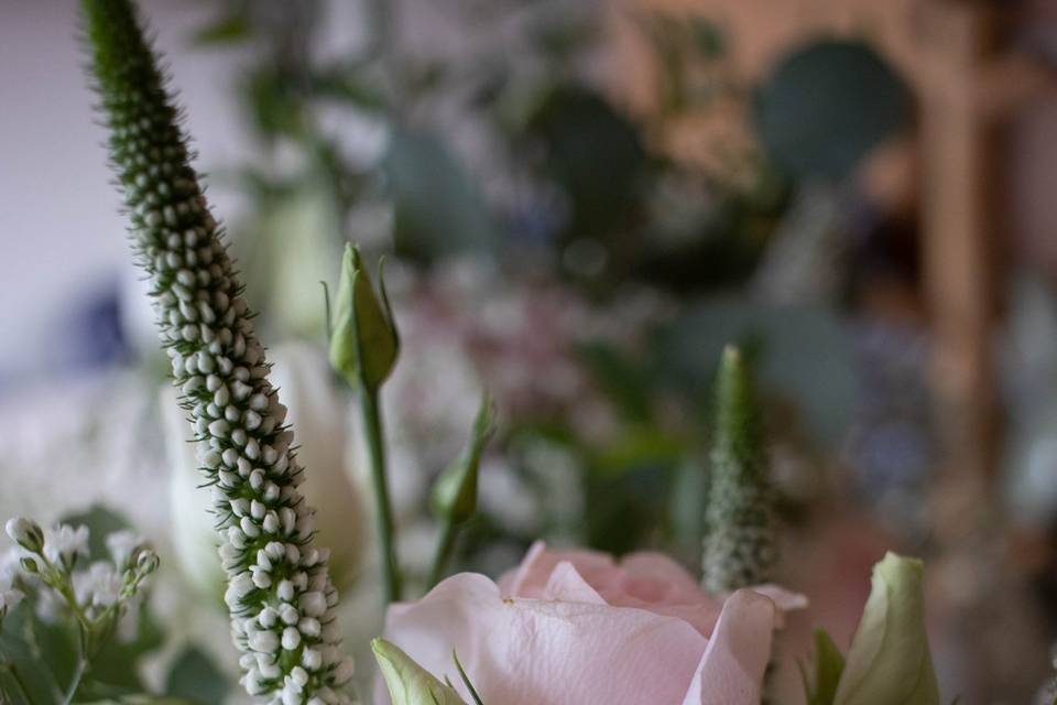 Flower Arrangement