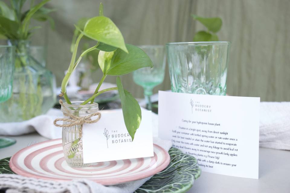 Hydroponic tablescape