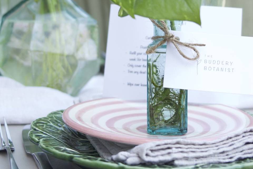 Hydroponic tablescape