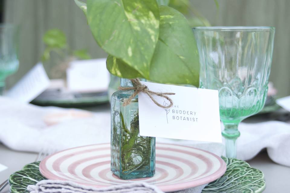 Hydroponic tablescape