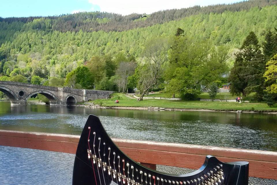 Harp on the Tay