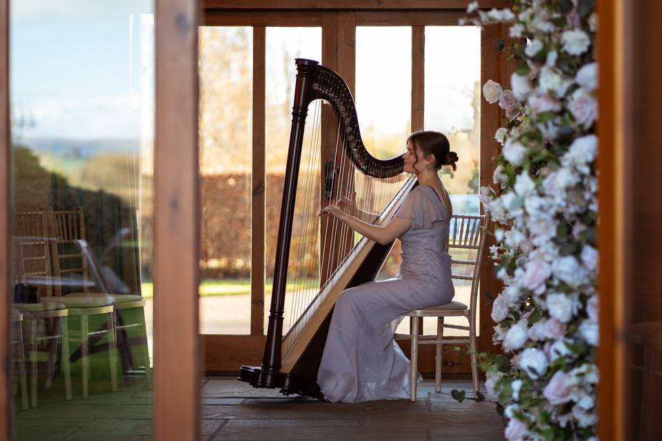 Harpist