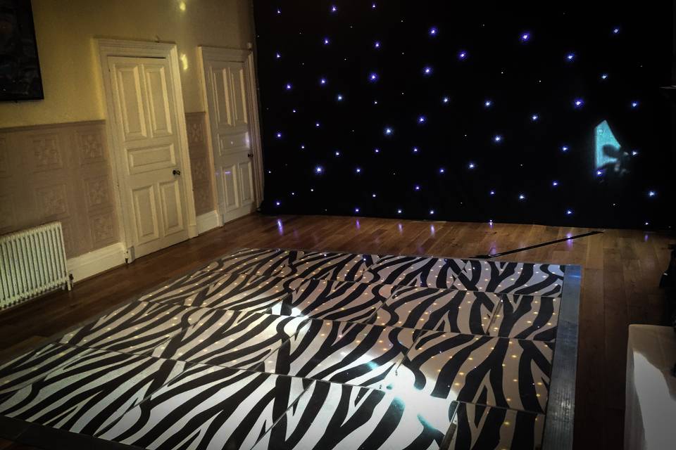 Zebra Dance Floor