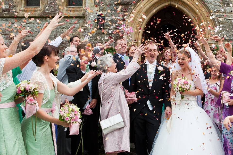 Masses of colour at The Confetti Flower Field. The Real Flower Petal Confetti Company