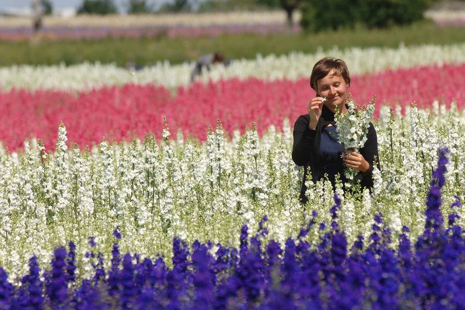 The Real Flower Petal Confetti Company