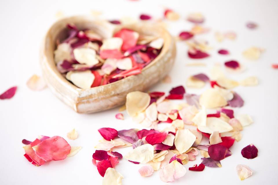 Rainbow Rose Petal Confetti Moment - The Real Flower Petal Confetti Company