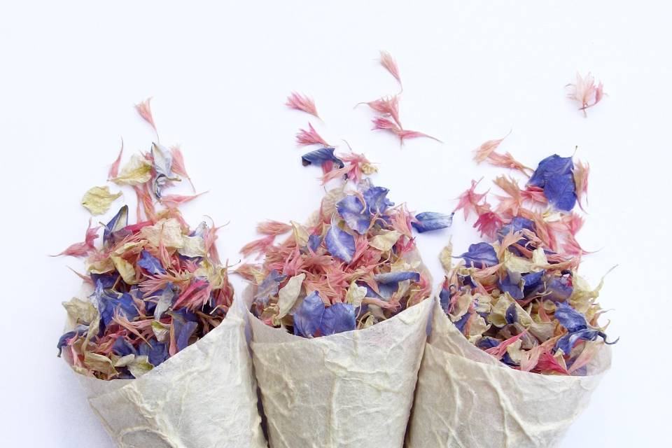 Delphinium Petal Confetti