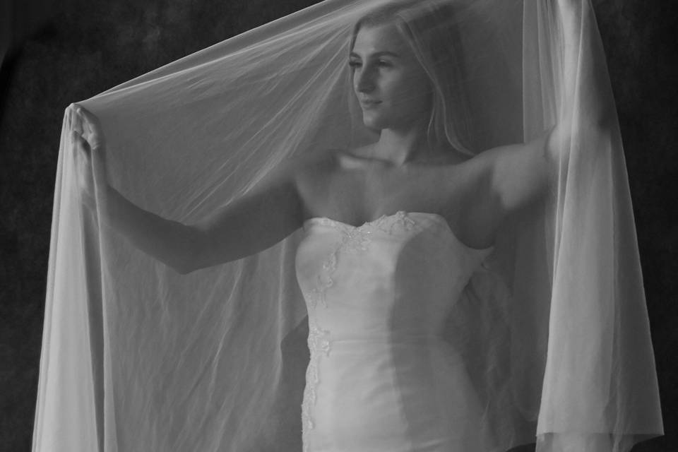 Bride & veil