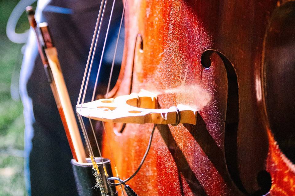 Closeup of cello - Gatsby