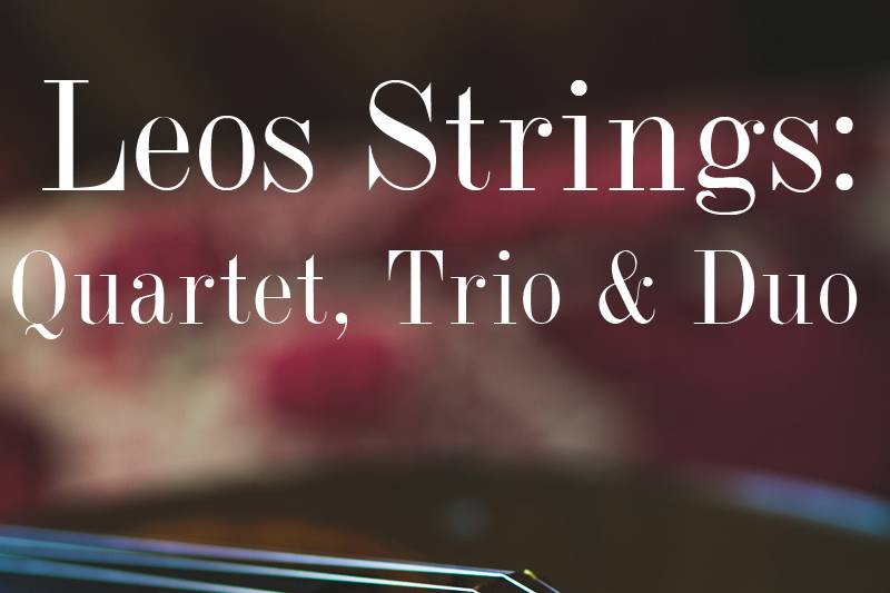 Leos Strings: Ensembles
