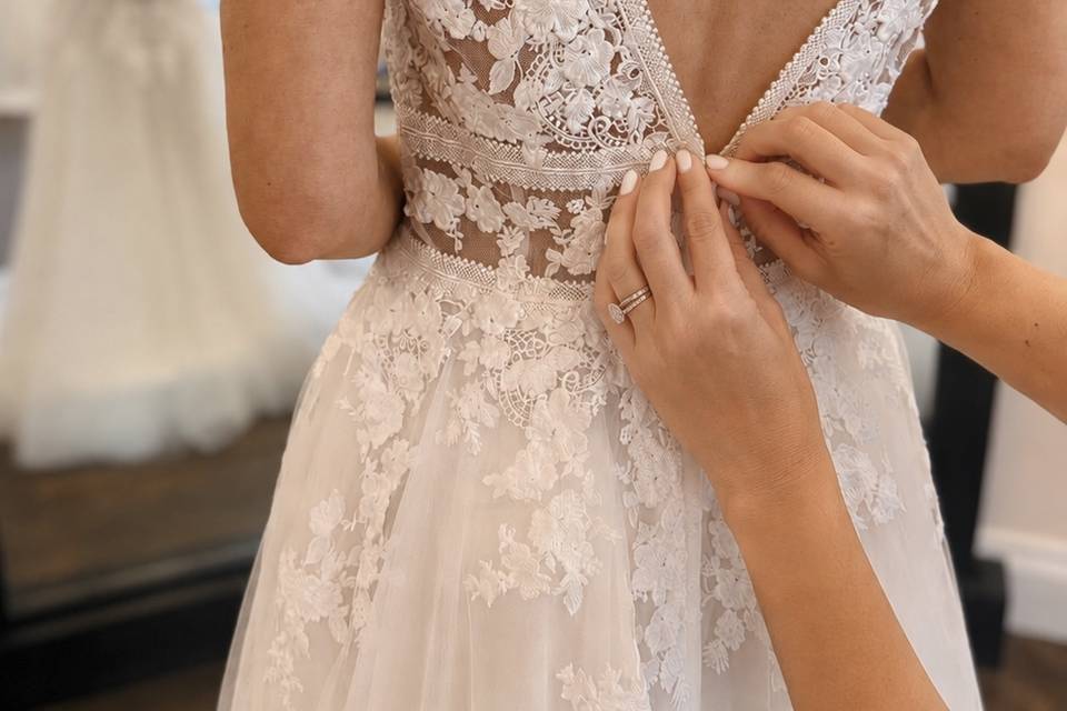 Becca back