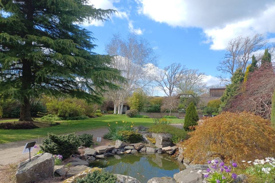 Gardens and Pond