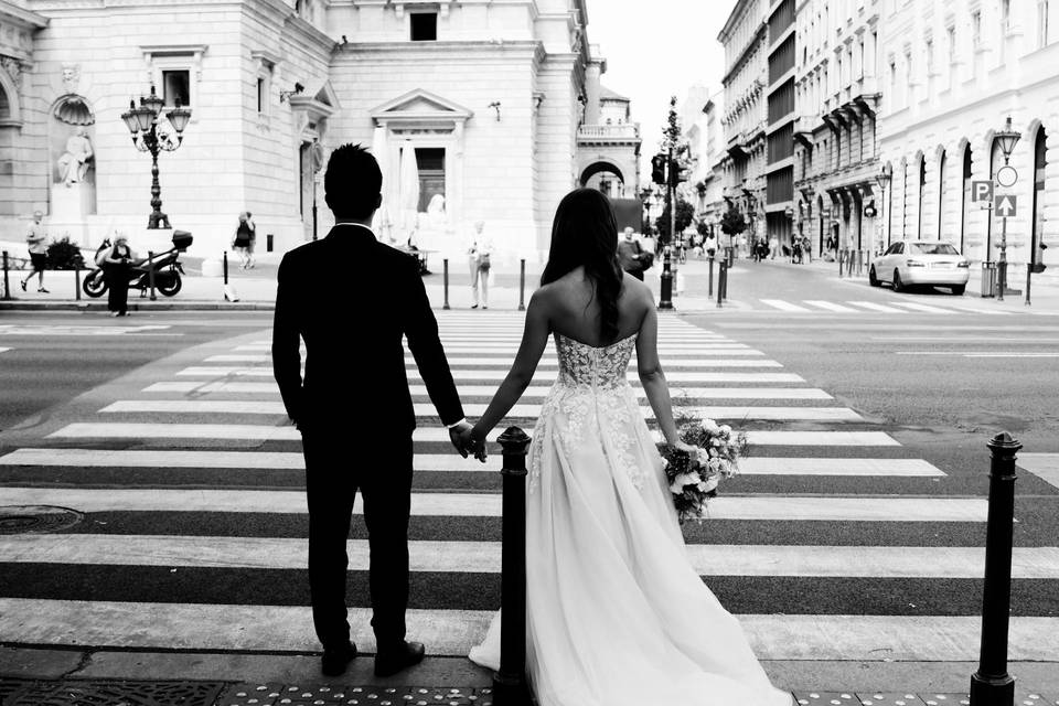 The Gown Edition
