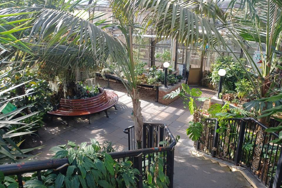 Tropical House Staircase