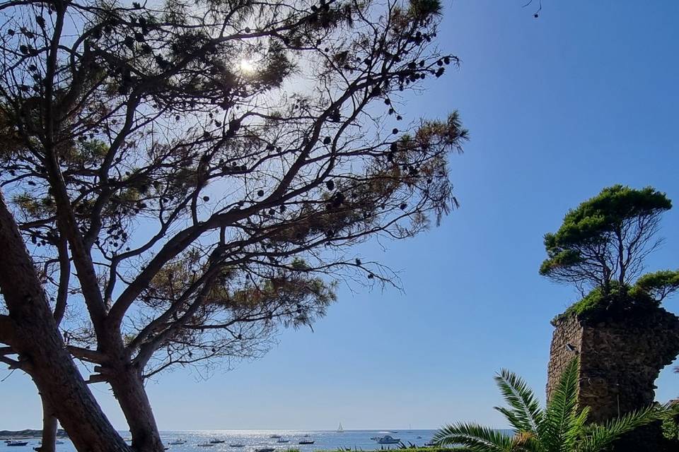 Ancient ruins by the pool