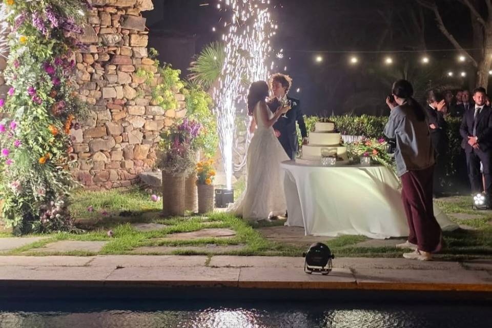 Wedding cake cutting by Roman