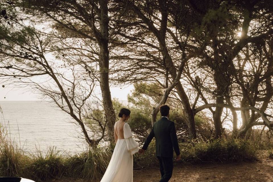 Along the Coast under Pinetree