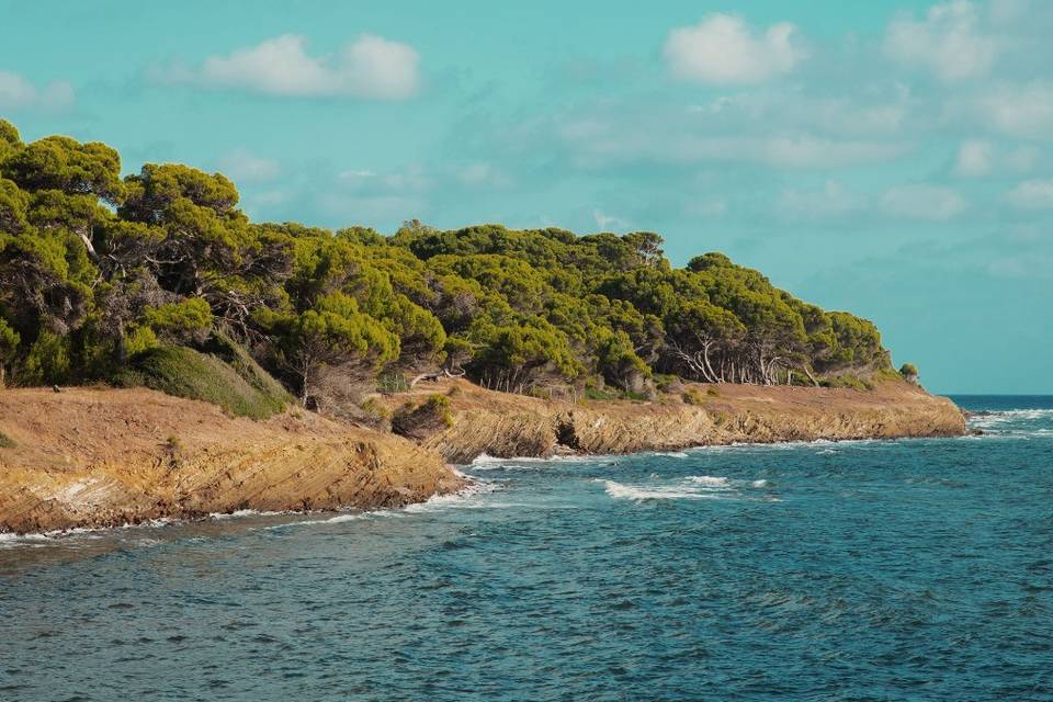 Coastline