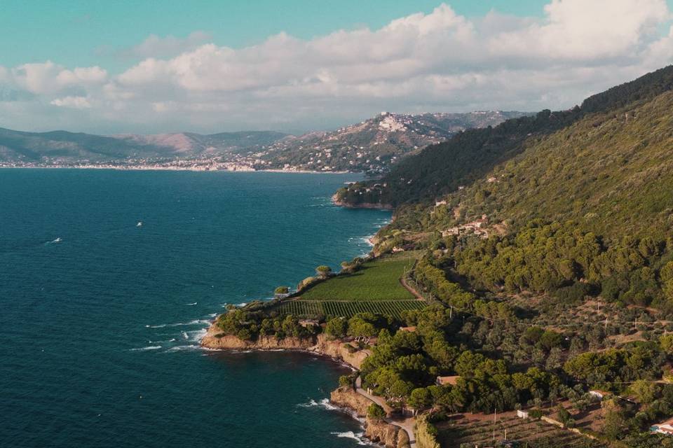 Coastline