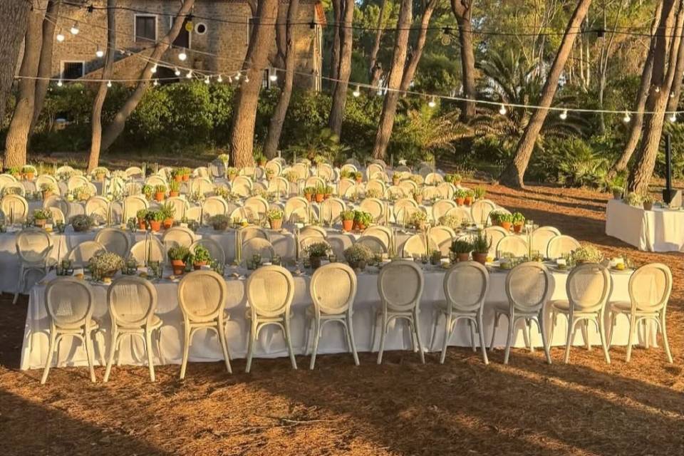 Reception dinner on the Sea