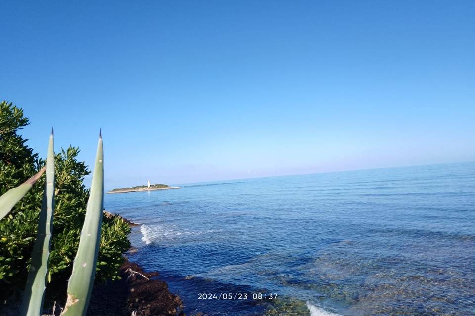 Crystal clear sea