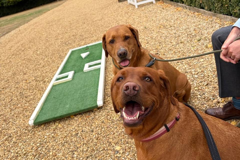 Cooper & Gaia