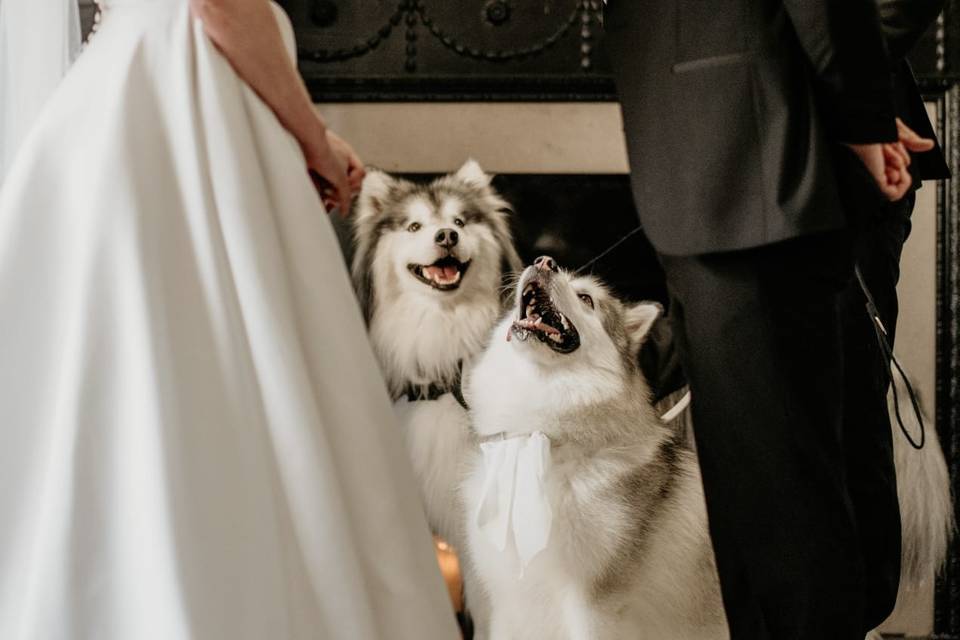 The look of love