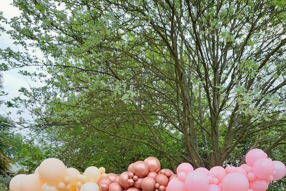 Organic over the canopy