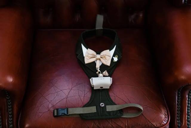 Dexter was the ring bearer