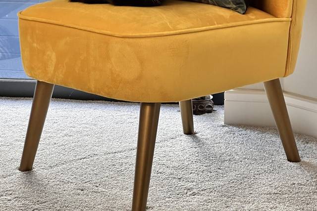 Dinky waiting for her dinner