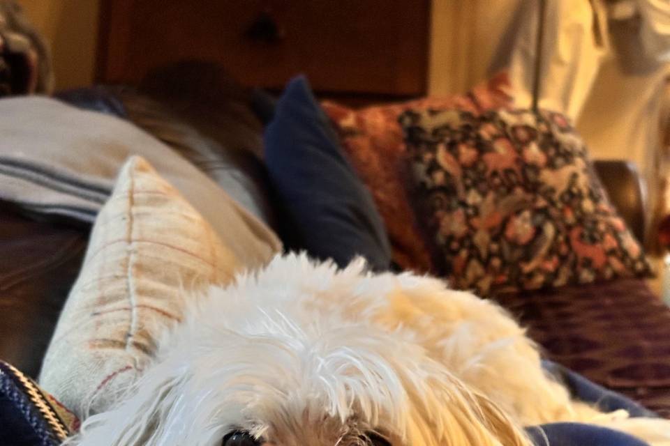 Cutie Crispin