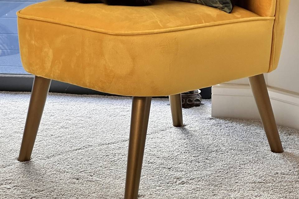 Dinky waiting for her dinner