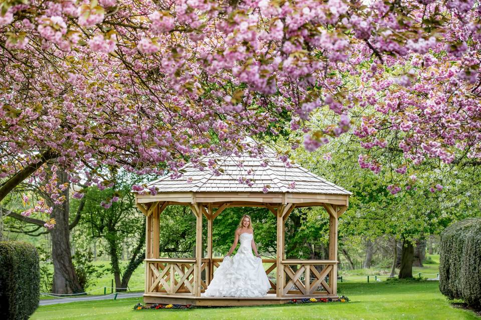 Garden pagoda with Blossom