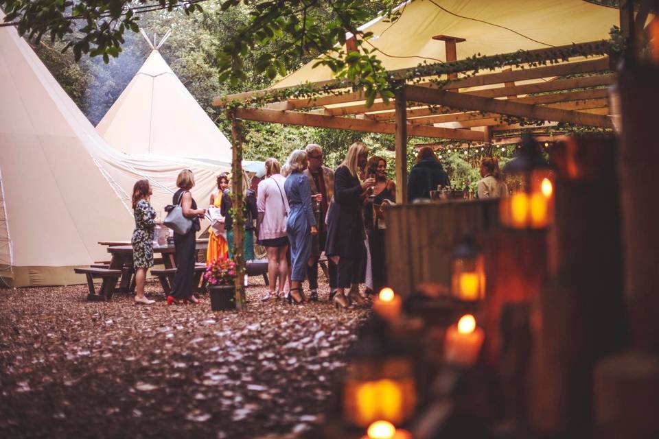 Woodland Reception