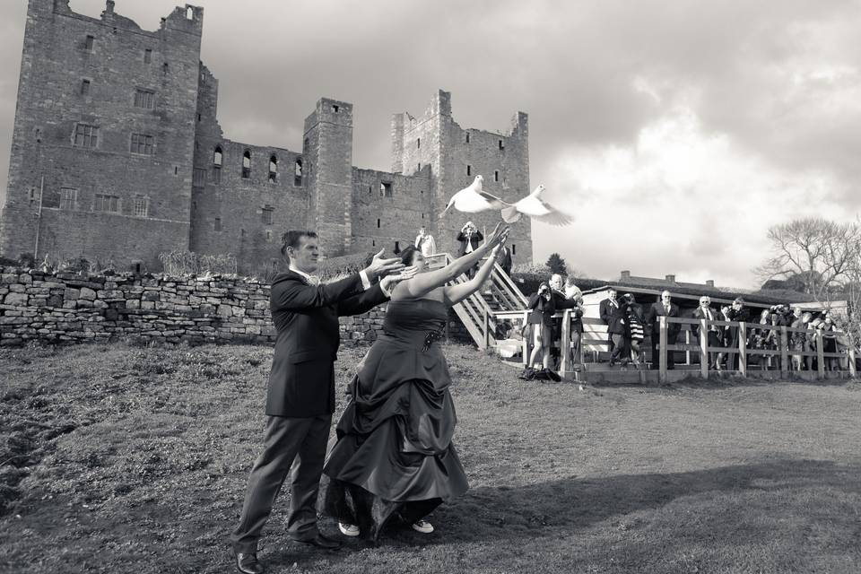 Releasing the Doves